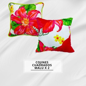 COJINES CUADRADO MALU X2