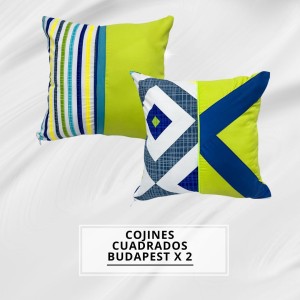 COJINES CUADRADO BUDAPEST X2