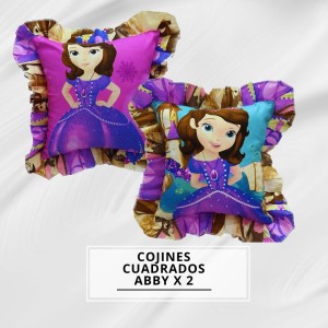 COJINES CUADRADO ABBY X2