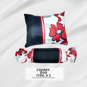 COJINES DÚO ITZEL X2