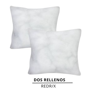 DOS RELLENOS DE COJINES